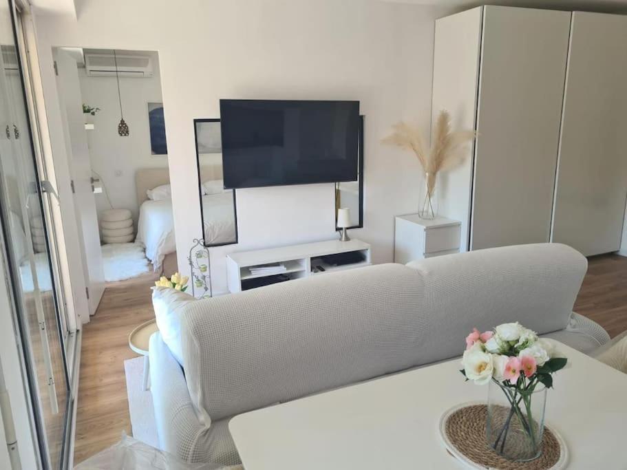 Apartment Superbe Luxueux Spacieux 50 M2 Port Nizza